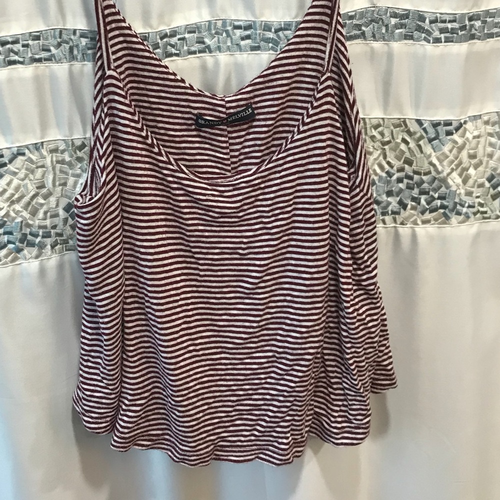 Brandy Melville Crop Top